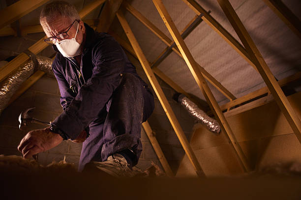 Professional Insulation Contractor in Genola, UT